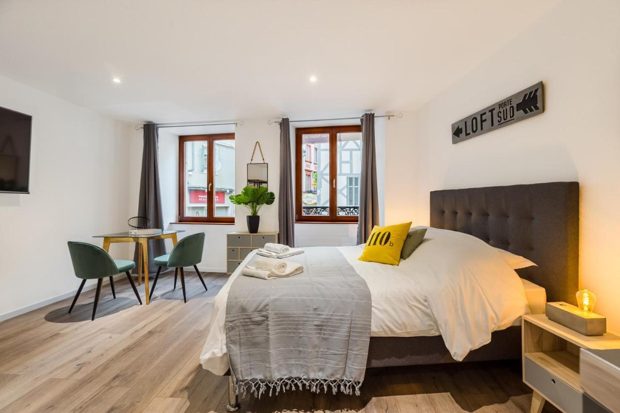 Travel Homes - L'Arsenal, Studios En Hyper Centre 牟罗兹 外观 照片